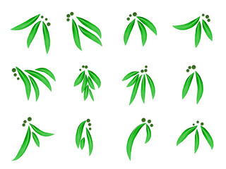 Vector set of watercolor green decorative leaves with round elements on white background.