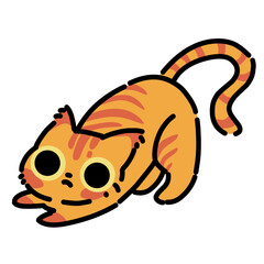 Cute orange cat 