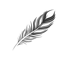Obraz premium Feather icon set. Bird feather silhouette symbol. Plumelet collection isolated. Vector illustration