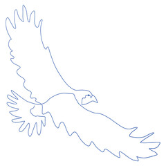 thin outline of a flying eagle, continuous line drawing