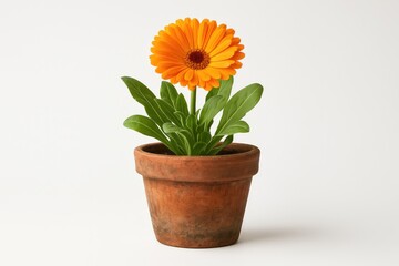 Fototapeta premium Background featuring a ceramic vessel
