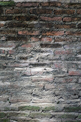 Grungy Old Brick Wall with Moss