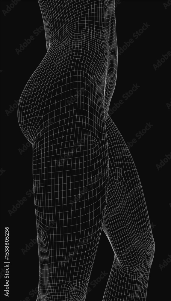 Poster wireframe model of a female figure with transparent mesh structure, showcasing anatomical contours a