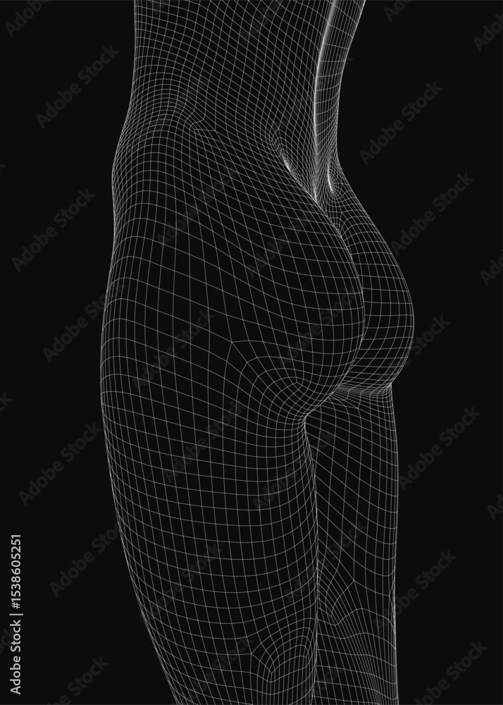 Poster wireframe model of a female figure with detailed anatomical structure, showcasing skeletal and muscu