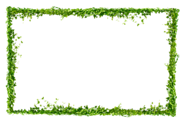vine frame leaf vine circle Isolate on transparent background PNG file