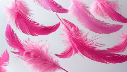 Obraz premium Glamorous pink feather boa border or background design.