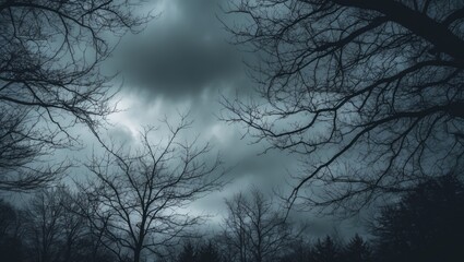 A strong oak branch set against a background of distant leafless trees and a partly sunlit cloudy sky. Expressive black silhouettes. Nature's energy and strength. Forest.