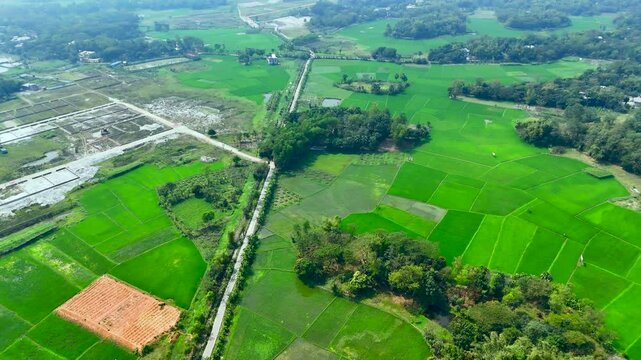 Aerial view of a vast green farmland with a road cutting through it, showing both cultivated fields and undeveloped land plots