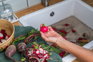 Fresh Garden Harvest: Radishes, Beets and Sugar Snap Peas in the Kitchen