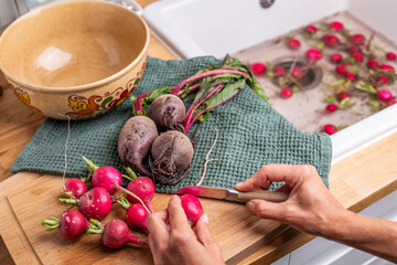 Fresh Garden Harvest: Radishes, Beets and Sugar Snap Peas in the Kitchen