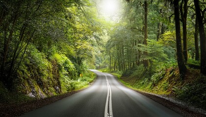 Obraz premium road in the forest