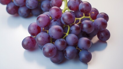 Fototapeta premium Isolated branch of grapes set against a plain background