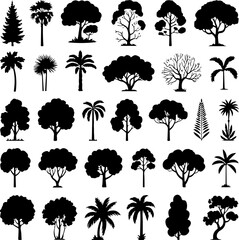 Obraz premium Thirty Black Silhouettes of Various Trees and Palm Trees on White Background Collection of Simple Tree Icons