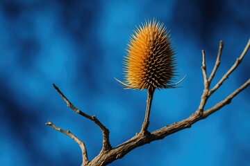 Obraz premium An Aspero perched on a tree limb amid a vivid blue and dark backdrop, highlighting the bird as the focal point with striking color contrasts