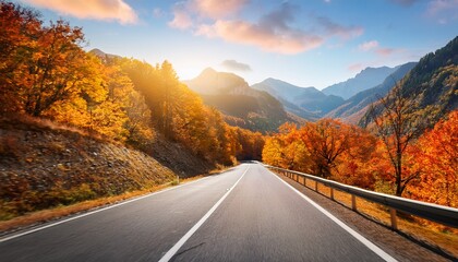 autumn road journey scenic route nature photography vibrant landscapes serene environment captivating viewpoint