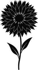 cornflower flower silhouette on white background