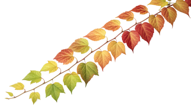 autumn leaves background | Long Draping Autumn Vine with Ombre Leaves