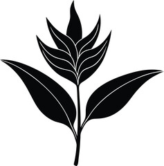 heliconiac flower silhouette on white background