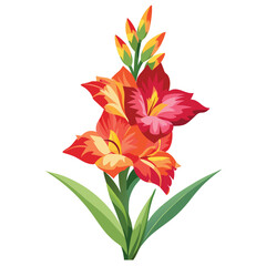 Fototapeta premium Gladiolus flower isolated on white background