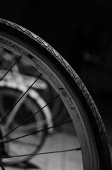 Wheel