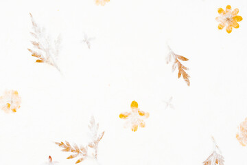 Mulberry paper with flower and leaves texture background.