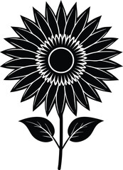 sunflower flower silhouette on white background