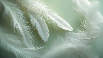 Fluffy fresh pastel lime green feather fashion design background with fuzzy textured soft-focused closeup - Fashion Color Trends Spring Summer 2016