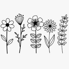 Image is a minimalist line art illustration featuring a series of five distinct floral designs arranged horizontally on a light gray background. Each floral element is drawn with thin, black lines, sh