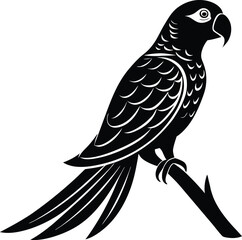 Black vector silhouette of perched exotic parrot bird