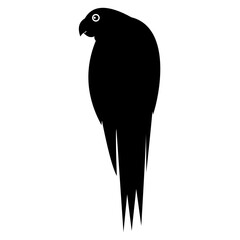 Bird art vector, illustration, silhouette design.