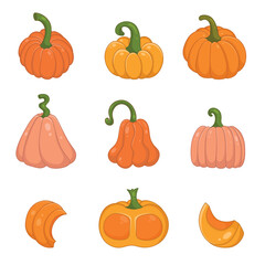 Colorful Squash and Pumpkin Set in Cute Hand Drawn Style with Slices. Decorative harvest vegetables isolated on cream background, perfect for farm, autumn, Thanksgiving designs invitations, cards