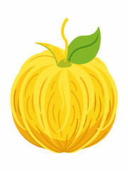 Stylized Pomelo Illustration with Green Leaf and Stem a Vibrant and Fresh Citrus Fruit Ideal for Food Related Designs Suitable for Print and Digital Media