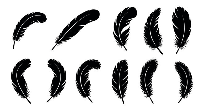 Collection of black feather silhouettes for design elements and decoration vector illustration
