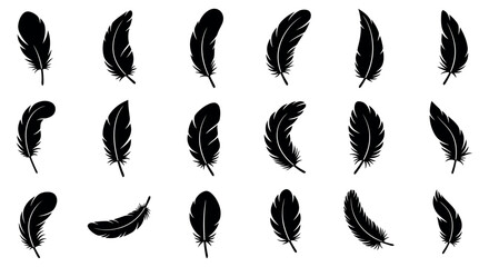Silhouette feather collection for creative art and design projects vector illustration