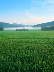 Fototapeta premium Photo of a lush green field at sunrise, symbolizing tranquility, nature’s beauty, and the start of a new day