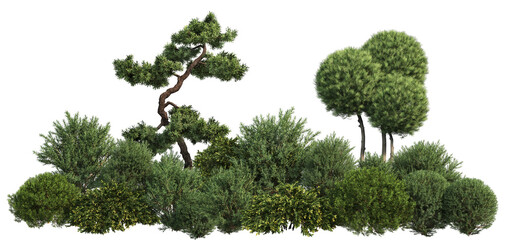 3D render of a garden with small pine trees on a transparent background.