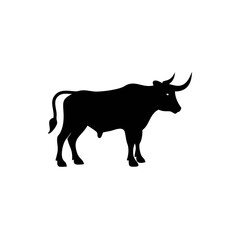 black bull isolated on white