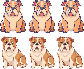 Collection of English bulldog
