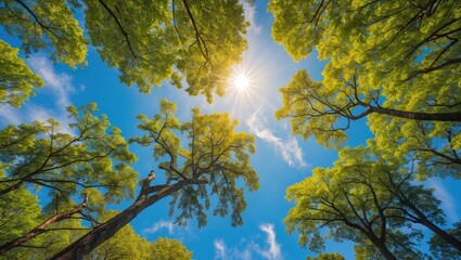 Obraz premium A stunning panorama of a solitary tree