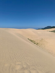 sand dunes in the desert