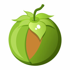 Stylized Green Tomatillo Illustration with Husk and Stem Perfect for Food Blogs Recipe Cards or Organic Produce Marketing Materials Isolated on a White Background