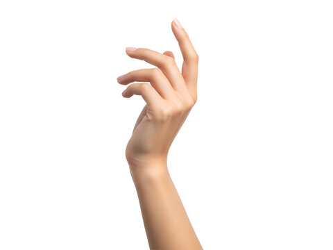 Young Woman’s Hand Transparent Background Feminine Skin and Gesture Concept