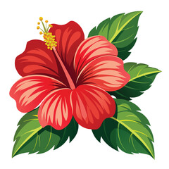 A hibiscus flower vector art illustration