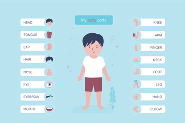 Little child with marked and named organs. Human body anatomy. Educational infographic for kids. Set of different organs and systems. Anatomical structure.