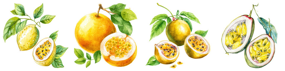 Passion fruit and yellow fruit with green leaves in watercolor style, fresh and natural