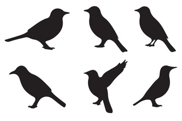 Flat and Minimal crow icon vector illustration isolated on white background an bart icon