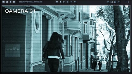 CCTV Interface