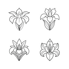 Fototapeta premium Vector illustration of four elegant outline floral designs for decoration and creative projects