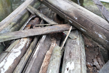 Close‑up texture of aged bamboo poles showing decay, white fungal streaks and natural weathering,...