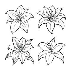 Detailed outlined floral lily designs in black and white isolated on white background